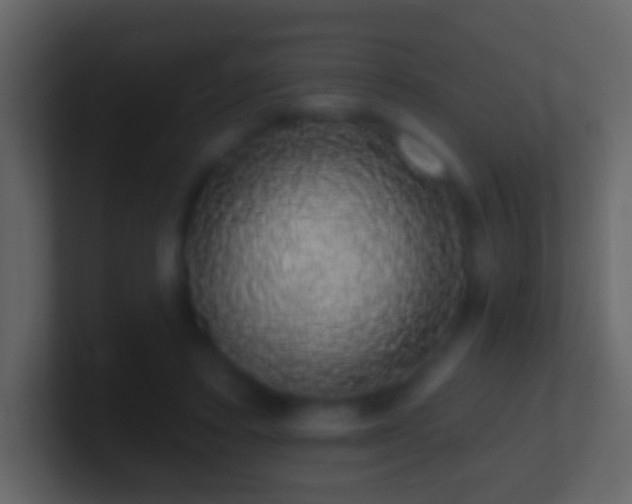 X0000101400403200807071223