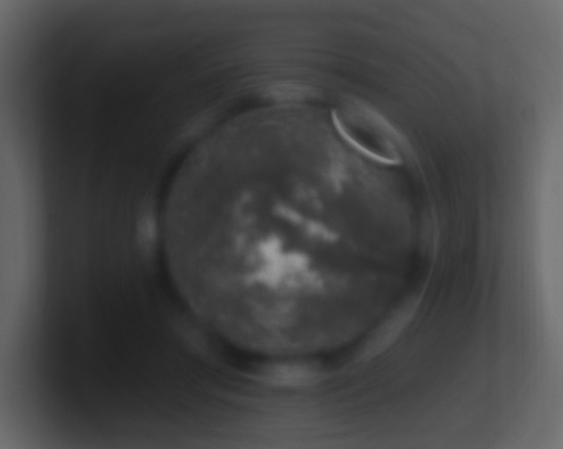 X0000101400405200807071223