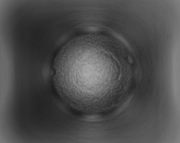 X0000101400407200807071223