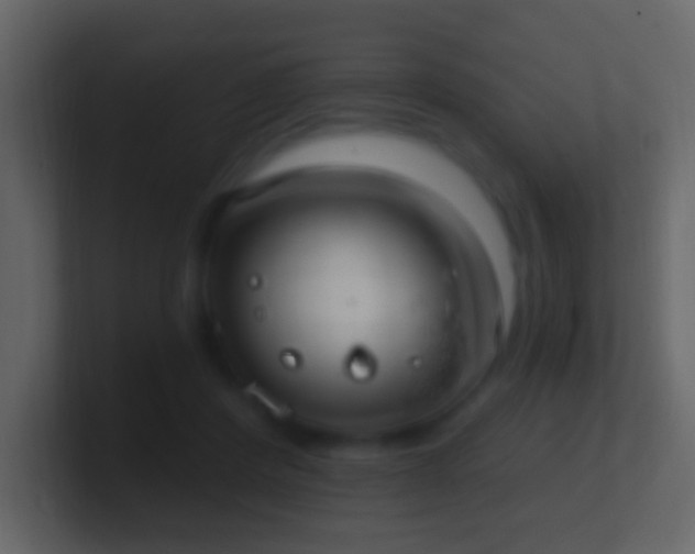 X0000101400408200807071223