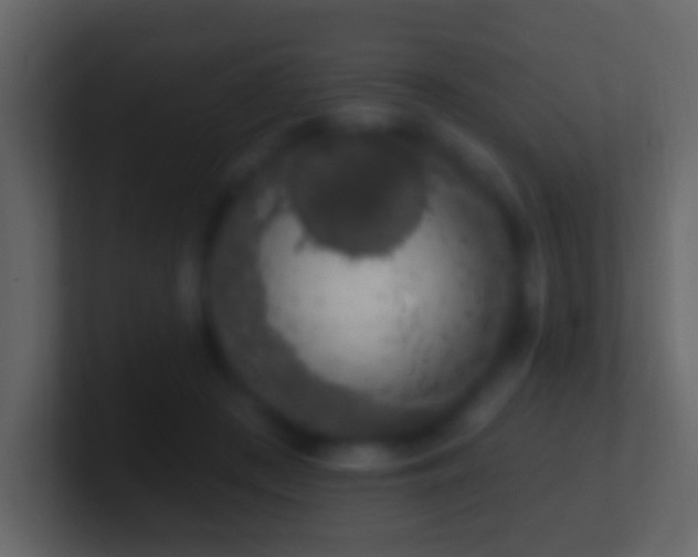 X0000101400409200807071223