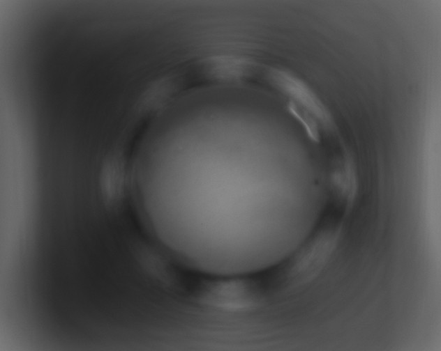 X0000101400411200807071223