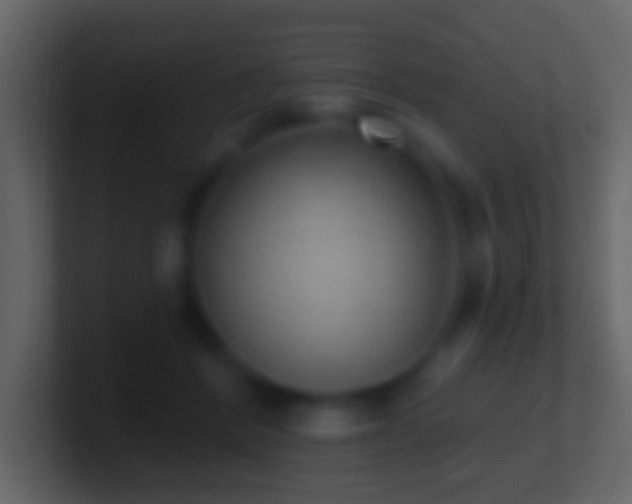 X0000101400412200807071223