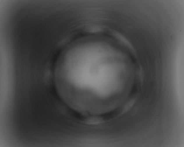 X0000101400415200807071223