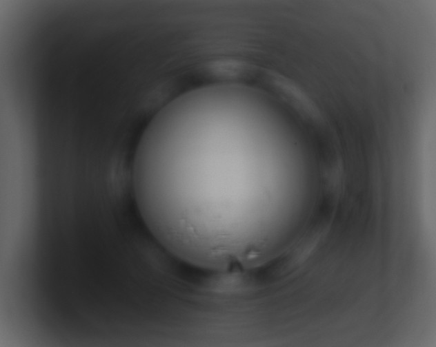 X0000101400418200807071223