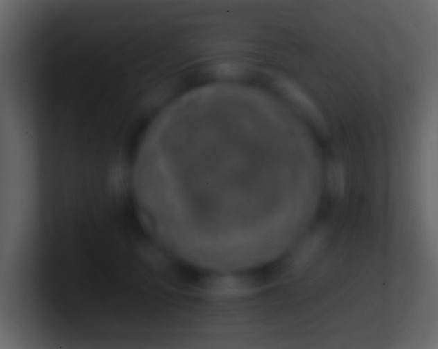 X0000101400419200807071223