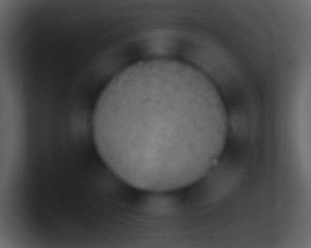 X0000101400423200807071222