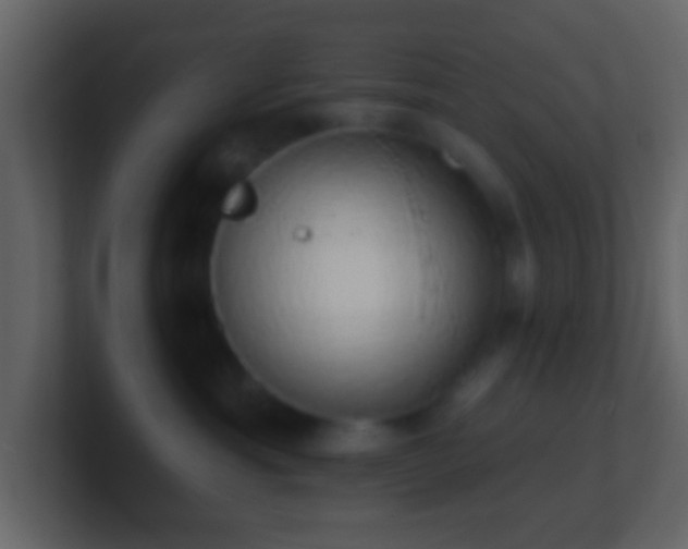 X0000101400429200807071222