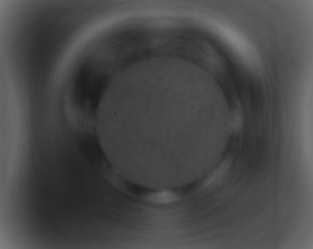 X0000101400431200807071222