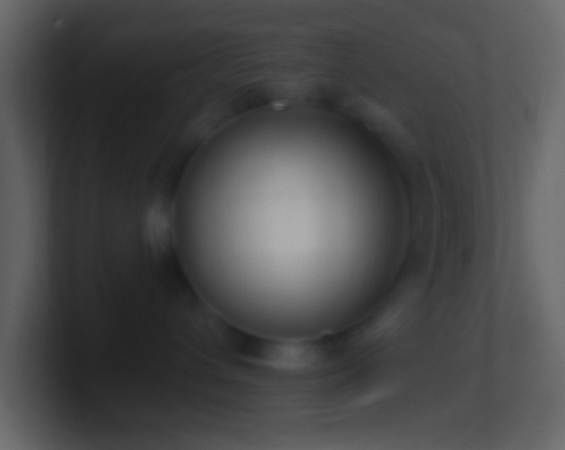 X0000101400432200807071222