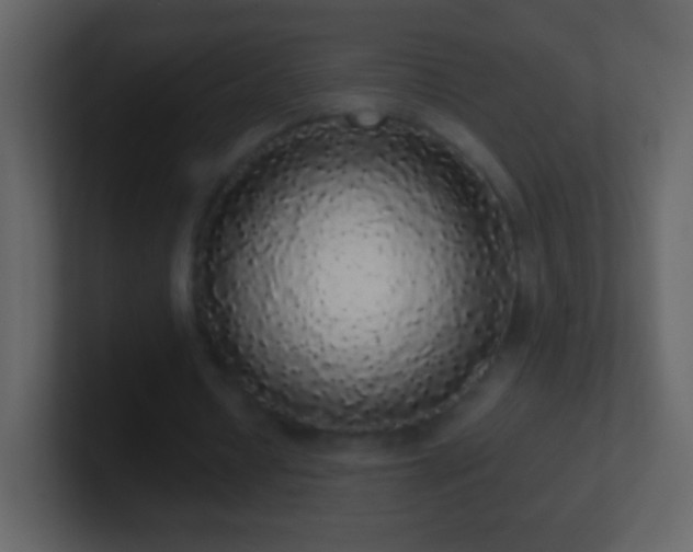 X0000101400434200807071222