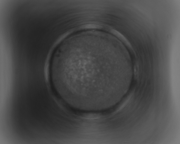 X0000101400436200807071222