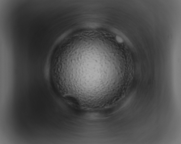 X0000101400440200807071222