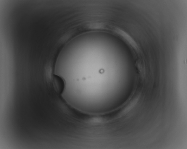 X0000101400441200807071222