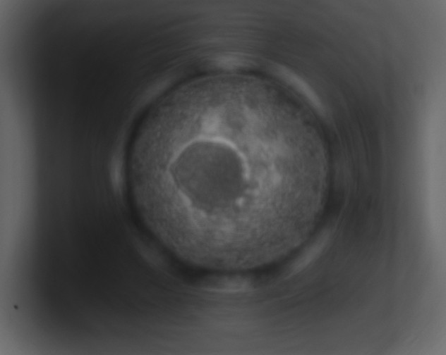 X0000101400443200807071222