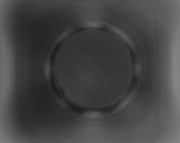 X0000101400444200807071222