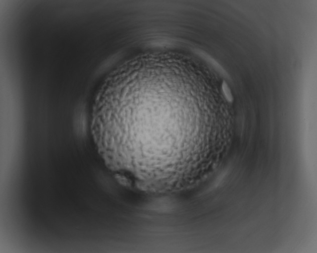 X0000101400446200807071222