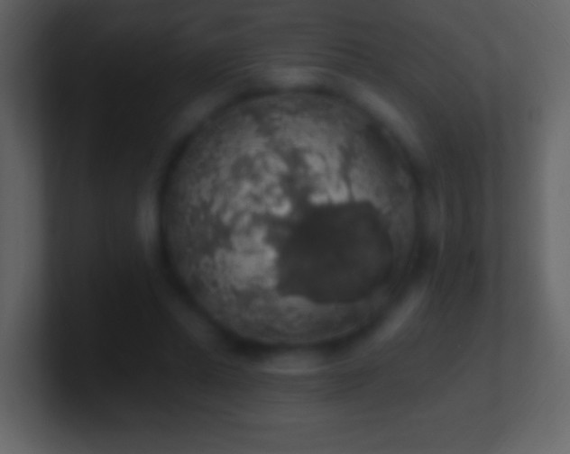 X0000101400447200807071222