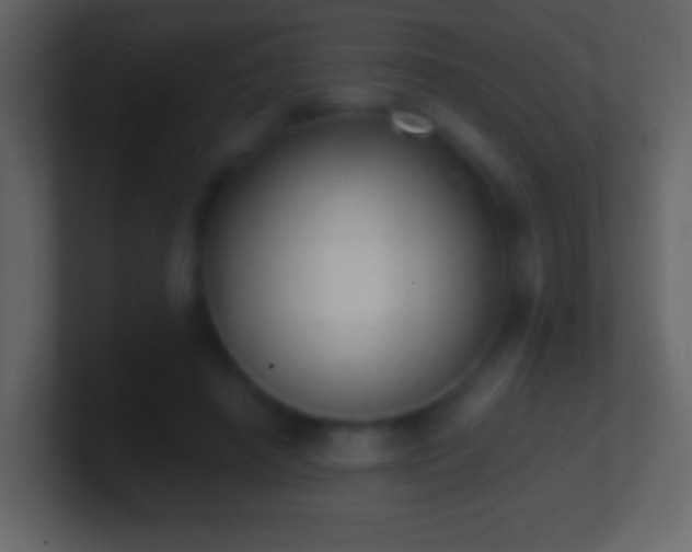 X0000101400450200807071222