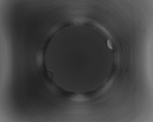 X0000101400451200807071222