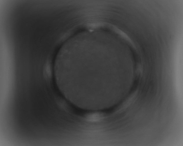 X0000101400452200807071222