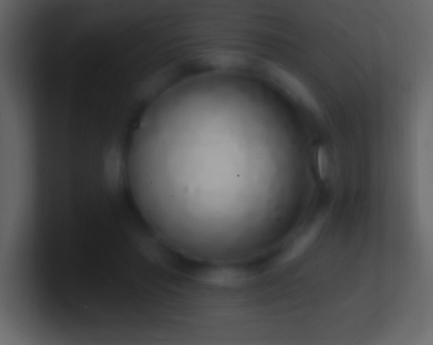 X0000101400453200807071222