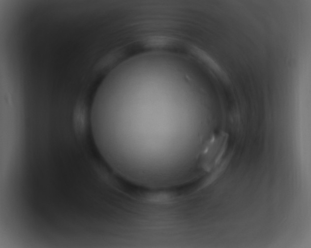 X0000101400454200807071222