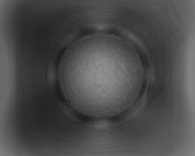 X0000101400456200807071222