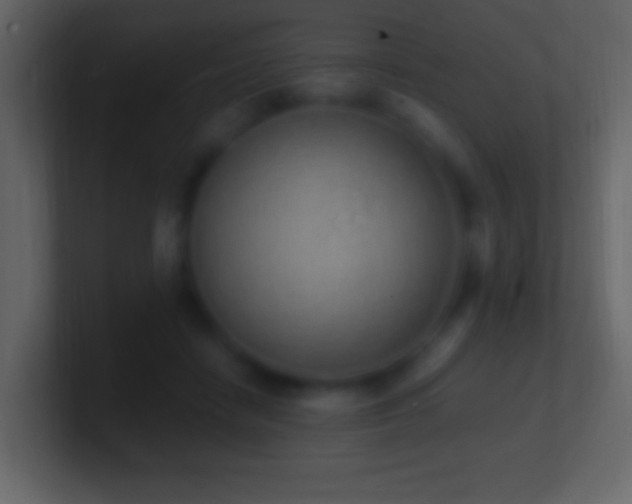 X0000101400458200807071222