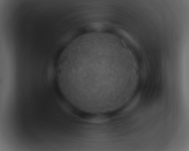 X0000101400459200807071222