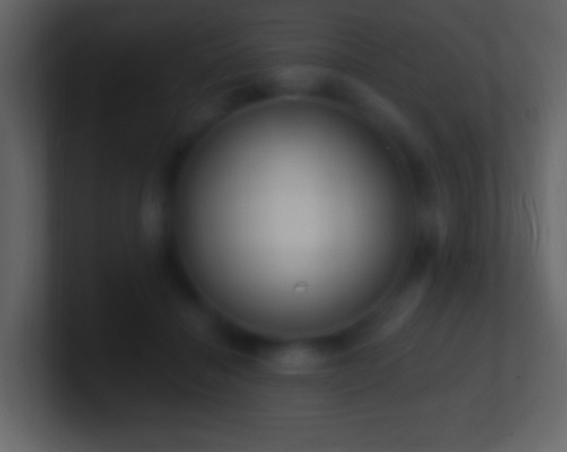 X0000101400460200807071222