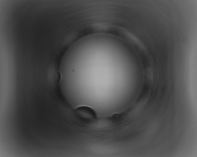 X0000101400463200807071222