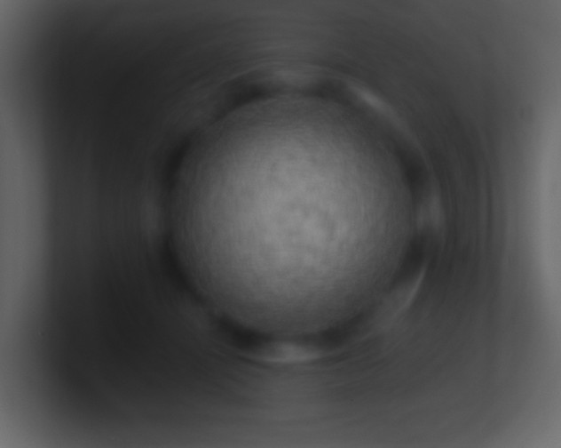 X0000101400464200807071222