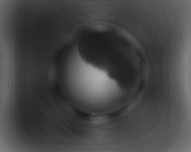 X0000101400465200807071222