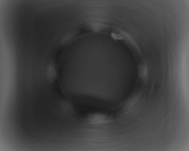 X0000101400471200807071222