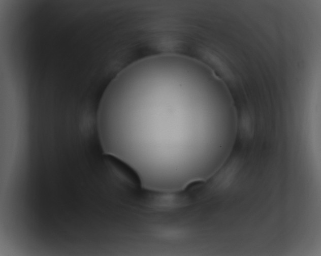 X0000101400473200807071222