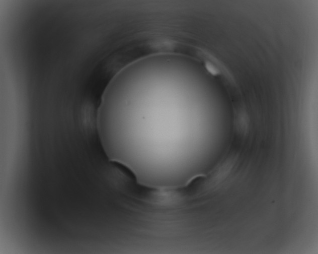 X0000101400477200807071222