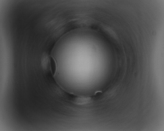 X0000101400480200807071222