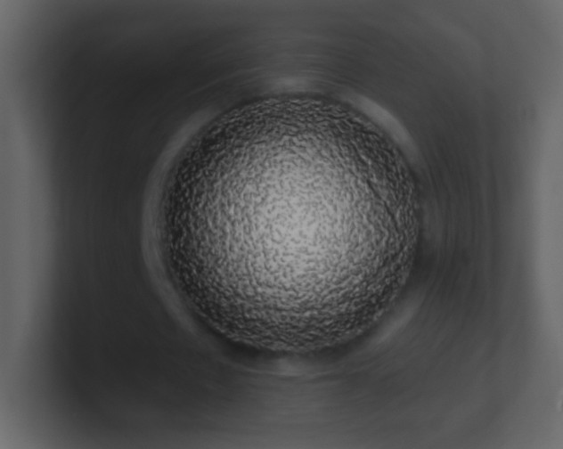 X0000101400481200807071222