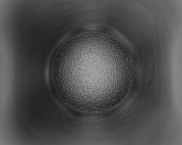 X0000101400482200807071222