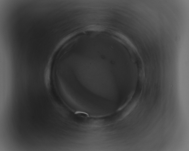 X0000101400484200807071222