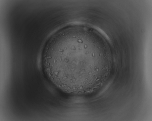 X0000101400487200807071222