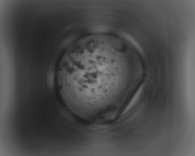 X0000101400491200807071222