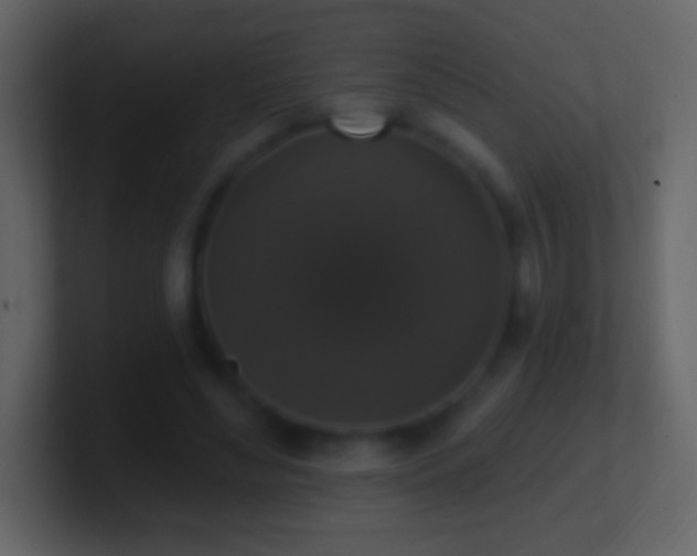 X0000101400492200807071222