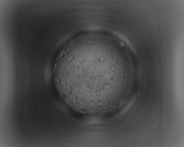 X0000101400495200807071222