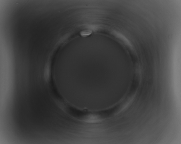 X0000101400496200807071222