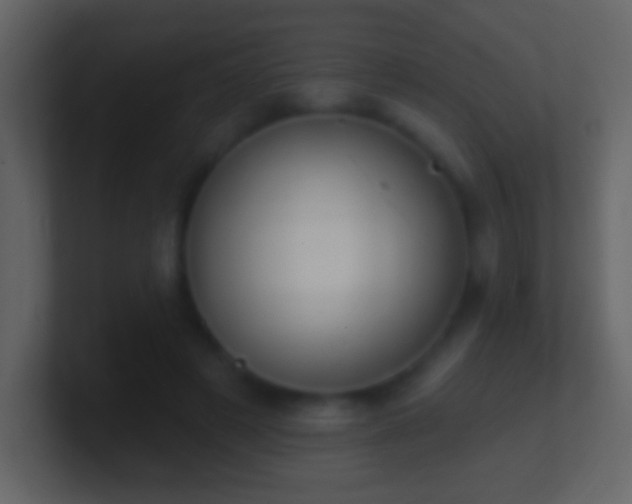 X0000101400497200807071222