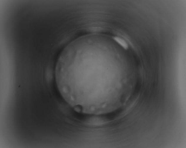 X0000101400499200807071221