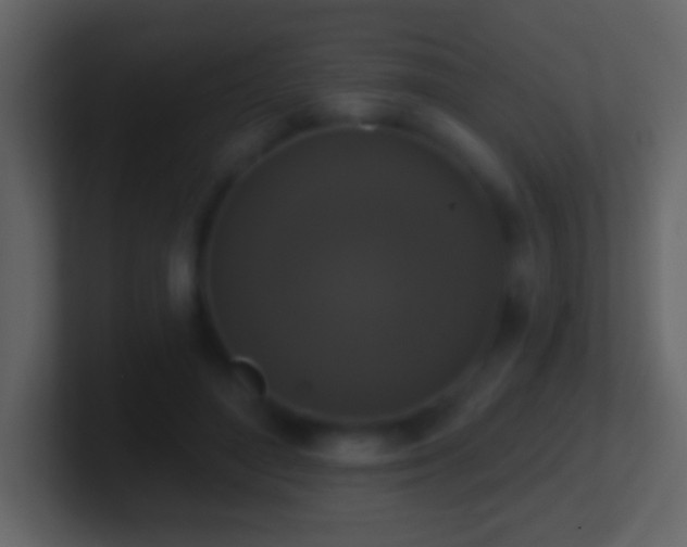 X0000101400500200807071221