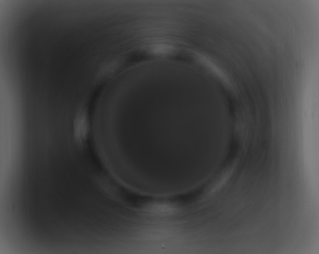 X0000101400502200807071221